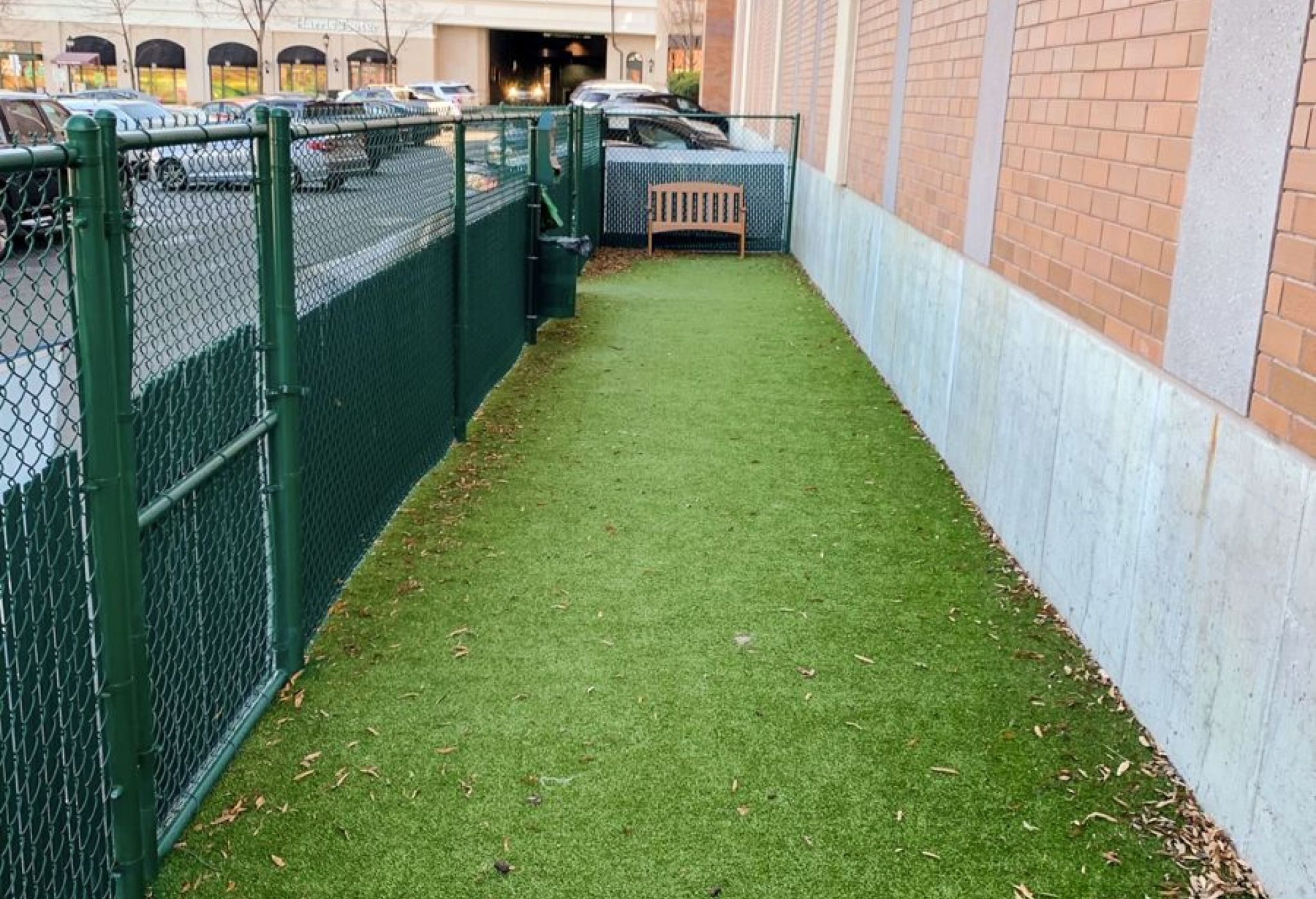 The Vue Charlotte amenity outdoor dog run with faux grass